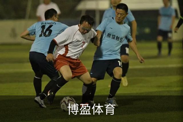 博盈体育 公司简介